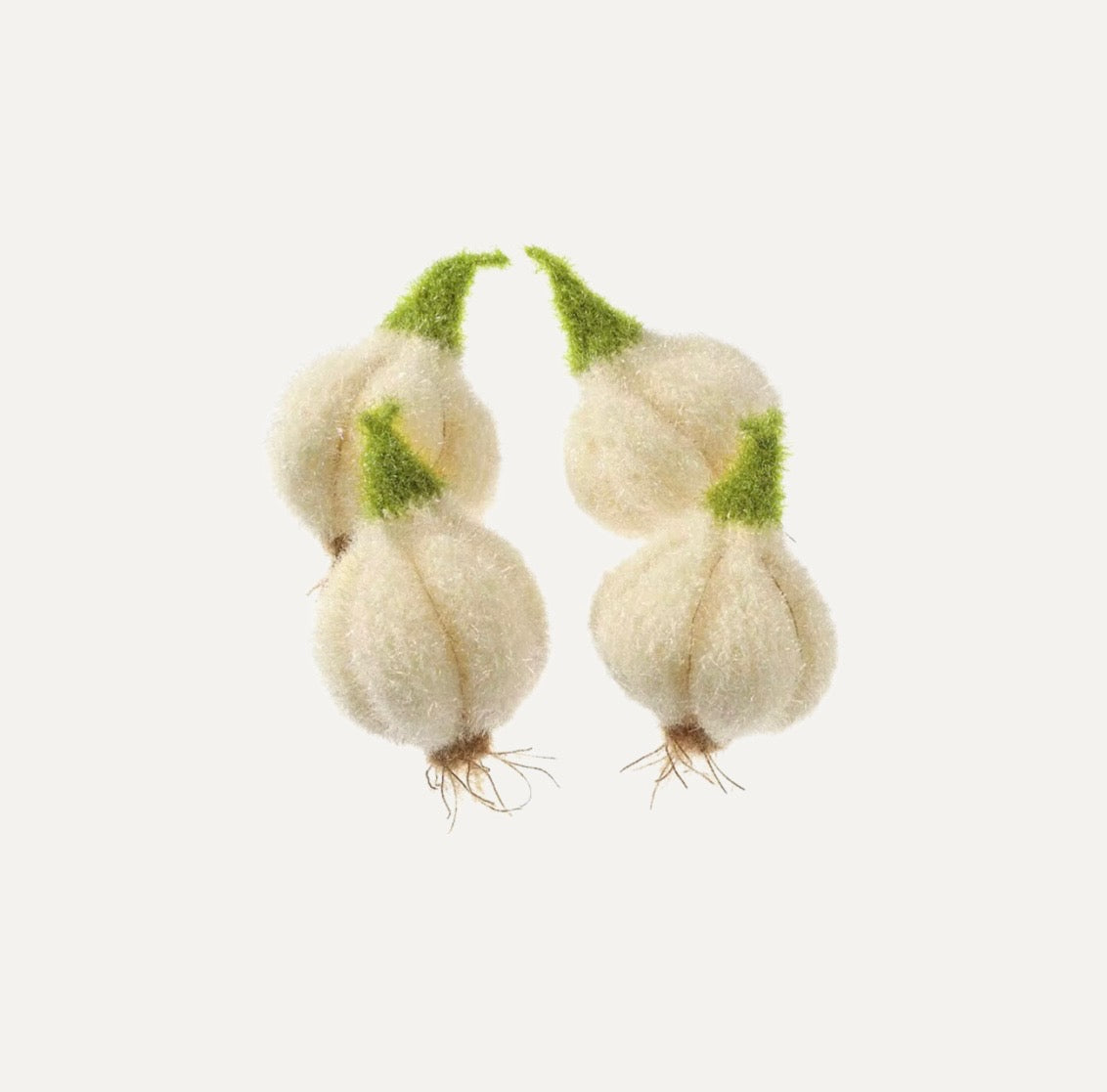 Aglio “garlic” dish scrubbie